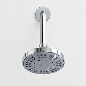 Fixed shower head and arm